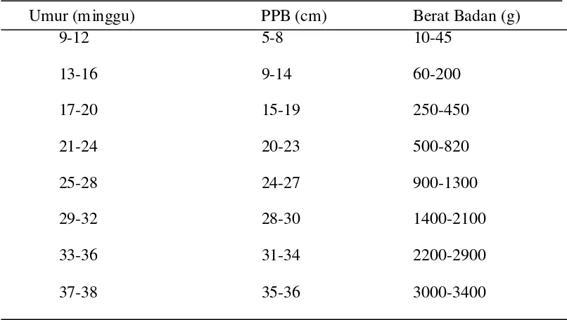Tabel 2.1 pertumbuhan panjang dan berat badan selama masa janin, menurut Sadler (1997) 
