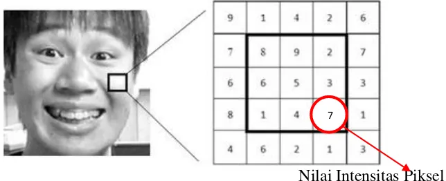 Gambar 2.7. Nilai piksel dari citra objek manusia (Robin, 2015) 