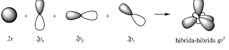 Gambar 1.2 Hibridisasi orbital 2s dengan 2p 