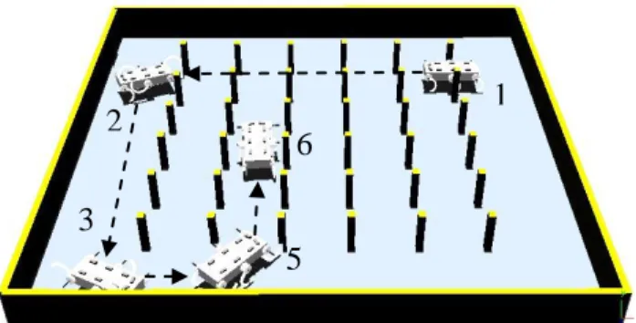 Gambar 13. Pengujian Sistem secara keseluruhan  Dengan  menggabungkan  setiap  behavior  dalam  konsep  behavior-based  control,  maka  robot  diuji  pada  lingkungan yang dimodelkan meniru bentuk sawah