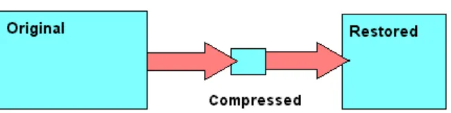 Gambar 2.3. Ilustrasi Kompresi Lossy (Sayood, 2006) 