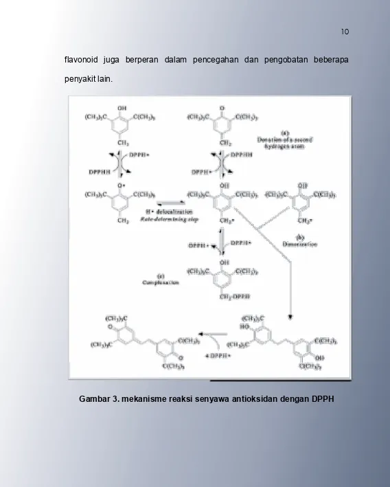 Gambar 3. mekanisme reaksi senyawa antioksidan dengan DPPH