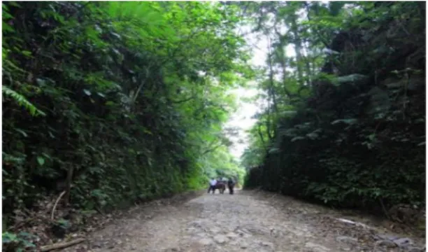 Gambar 2. Jalan Desa Cupunagara Sumber: kotasubang.com (2017) 