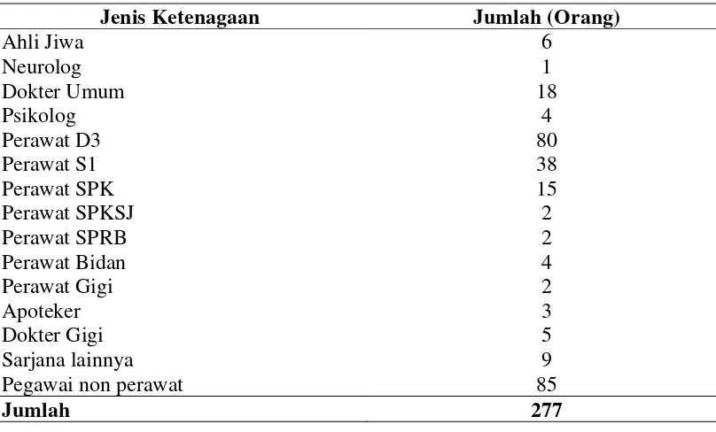 Tabel 4.1. Tenaga Staf di Badan Layanan Umum Daerah Rumah Sakit Jiwa Provinsi Sumatera Utara 