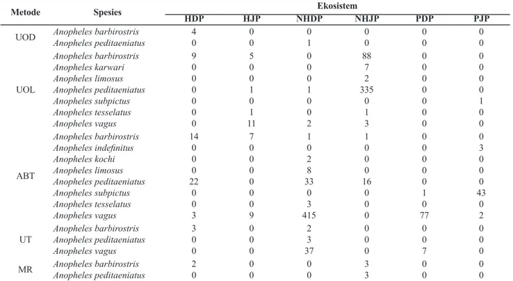 Tabel 5. Distribusi Anopheles yang terkonfirmasi positif Plasmodium falciparum di Kabupaten  Jembrana, Kabupaten Bengkalis dan Kabupaten Bulukumba 2017