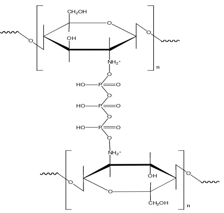 Gambar 2.6. Ikat silang ionik kitosan dengan natrium tripolifosfat (Bhumkar, 