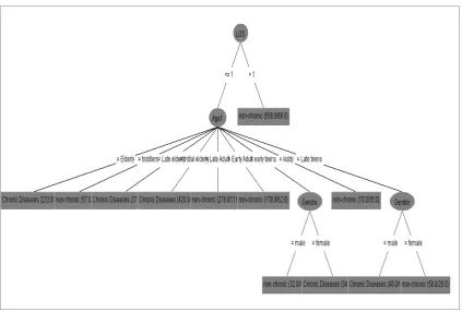 Figure 6. The Decision Tree Based on Age Grouping 