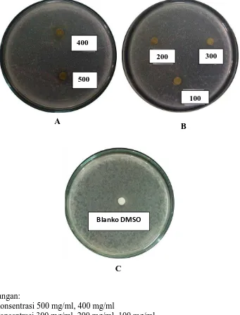 Gambar hasil uji aktivitas antibakteri fraksi n-heksan kulit buah markisa ungu  terhadap bakteri Escherichia coli 
