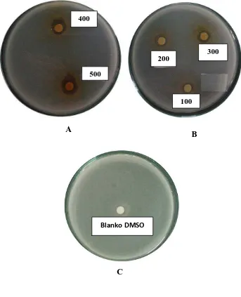Gambar hasil uji aktivitas antibakteri fraksi air kulit buah markisa ungu  terhadap bakteri Staphylococcus aureus  