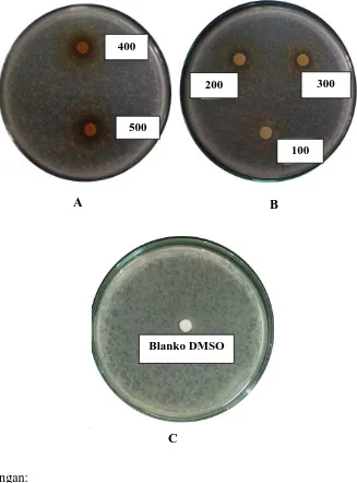 Gambar hasil uji aktivitas antibakteri fraksi air kulit buah markisa ungu  terhadap bakteri Escherichia coli 