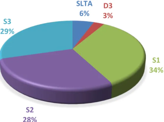 Gambar 1.3. Profil SDM berdasarkan Kelompok Usia SLTA6%D33%S134%S228%S329%10 341953&lt;3030-4041-5051-60&gt;60