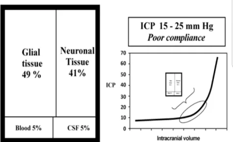 Gambar 3. Hipertensi Intrakranial dengan Kompensasi Parsial 7