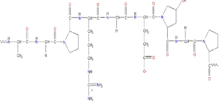 Gambar 2   Struktur kimia gelatin  (Chaplin 2004). 