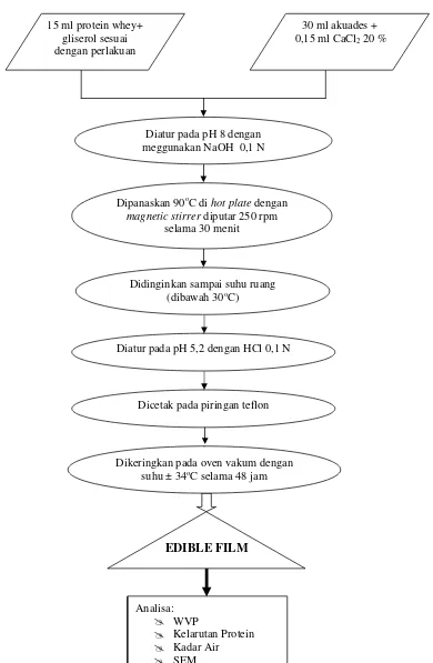 Gambar 1. Diagram alir pembuatan edible film protein whey (Galietta et al., 1998) 