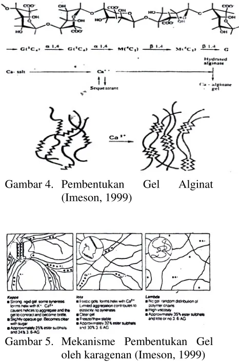 Gambar 4.  Pembentukan 