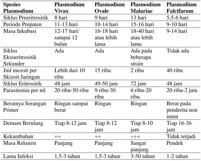 Tabel 2.1. Tahapan-Tahapan Siklus Spesies plasmodium  Spesies  Plasmodium  Plasmodium Vivax  Plasmodium Ovale  Plasmodium Malariae  Plasmodium Falcifarum  Siklus Preeritrositik  8 hari  9 hari  13 hari  5,5-6 hari  Periode Prepaten  11-13 hari  10-14 hari 