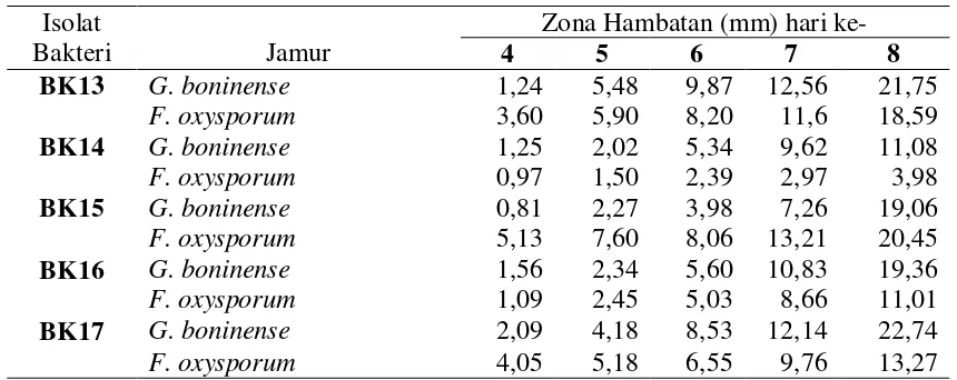 Tabel 4.3.1. Uji antagonisme antara lima isolat bakteri kitinolitik dengan  