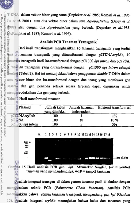 Tabel 2 Hasil transformasi tanaman 