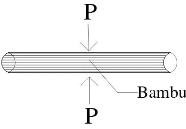 Gambar II.3 Batang Bambu menerima gaya tekan sejajar serat 