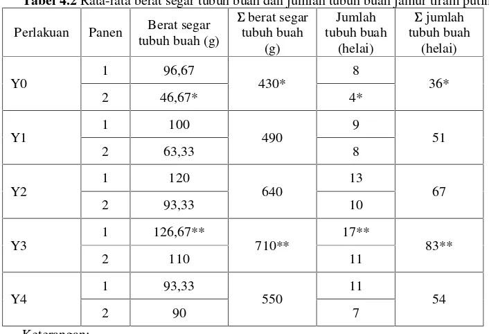 Tabel 4.2 Rata-rata berat segar tubuh buah dan jumlah tubuh buah jamur tiram putih