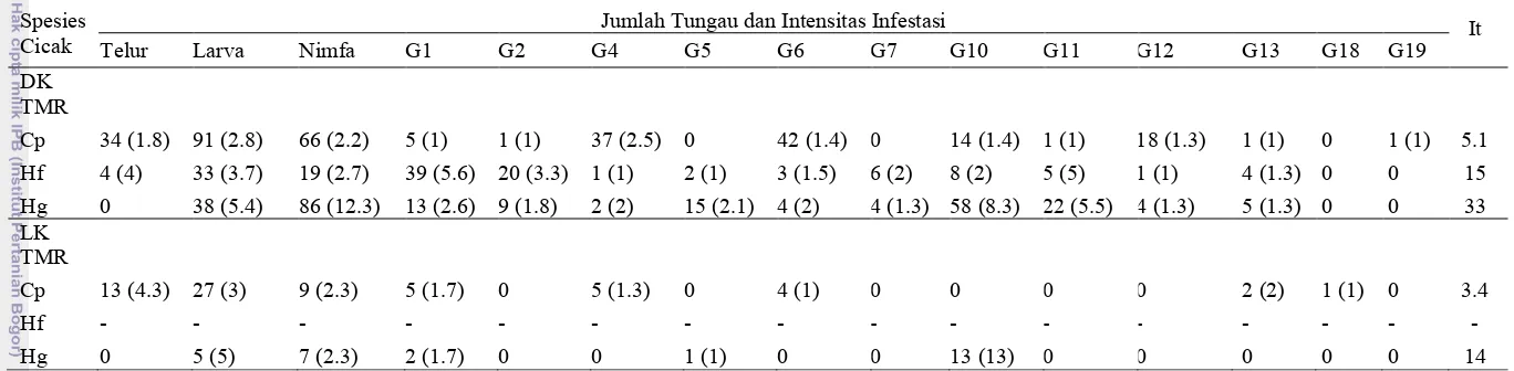 Tabel 5 Jumlah tungau (Telur, Larva, Nimfa, dan  Imago), intensitas infestasi, dan intensitas total tungau yang menginfestasi cicak               C