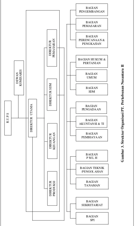 Gambar 3. Struktur Organisasi PT. Perkebunan Nusantara II 
