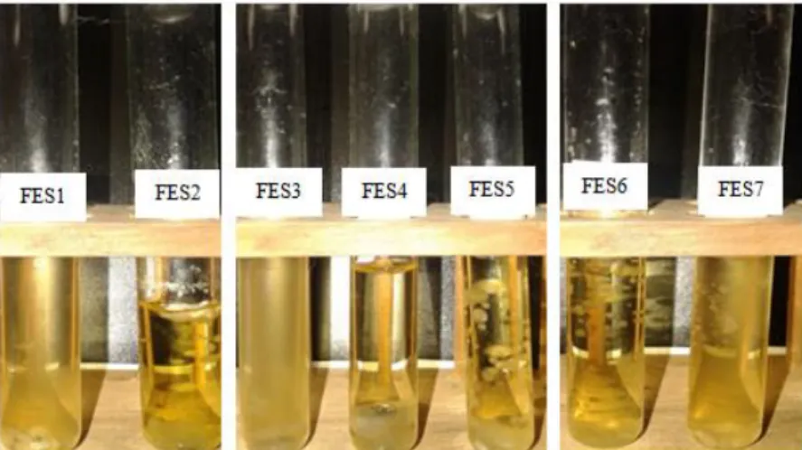 Gambar 1. Hasil fermentasi isolat fungi endofit (FES) daun srikaya : Isolat FES 1 , FES 2,  FES 3,  FES 4,  FES 5,  FES 6,  dan  FES 7 