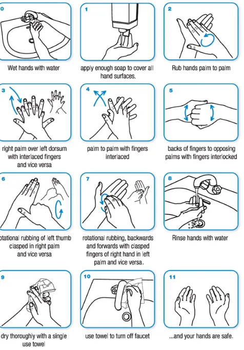 Gambar 2.10 Langkah-langkah Mencuci Tangan 