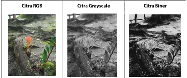 Gambar 2.2 Perbedaan Citra RGB, Grayscale, dan Biner   2.3.2 Pengolahan Citra Digital 