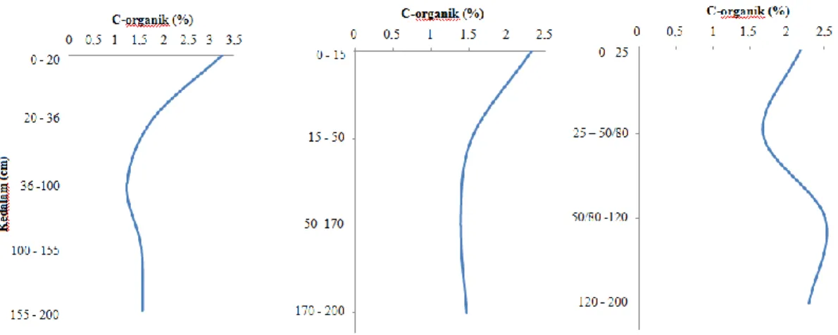 Gambar 5. Grafik penurunan nilai C-organik tiap horizon pada ketiga profil  Curah  hujan  yang  tinggi,  pelarutan  menyeluruh  (congruent  dissolution)  pada  batu  gamping  menyebabkan  terbentuknya  ruang  pori  pada  celah-celah  batuan dan tanah bekas