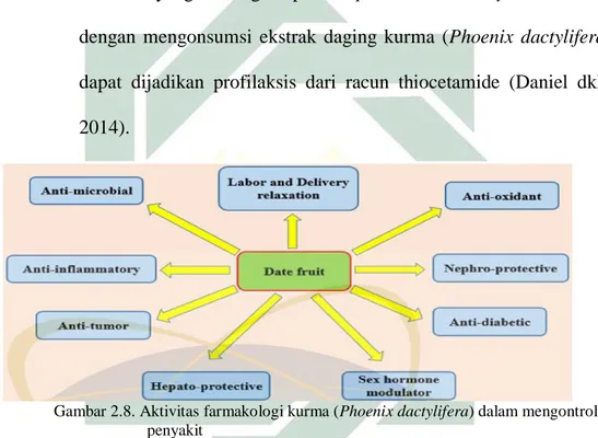 Gambar 2.8. Aktivitas farmakologi kurma (Phoenix dactylifera) dalam mengontrol  penyakit 