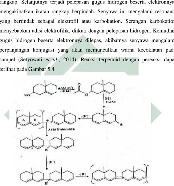 Gambar 5.4 Reaksi triterpenoid dengan pereaksi Sumber: Setyowati et al., 2014