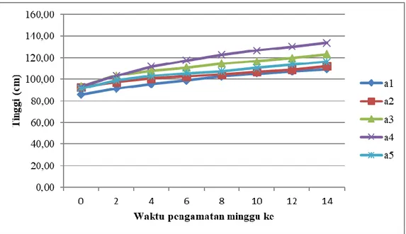 Gambar 1 dapat dilihat bahwa pertambahan tinggi tanaman tertinggi terdapat pada  waktu  2  minggu  setelah  aplikasi,  kemudian  menurun  pada  pengukuran  berikutnya