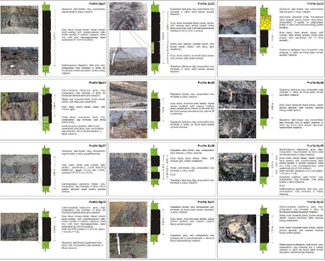 Figure 2: Profile on each coal outcrop  along with thick NCT and GCT data on coal seams that have parting