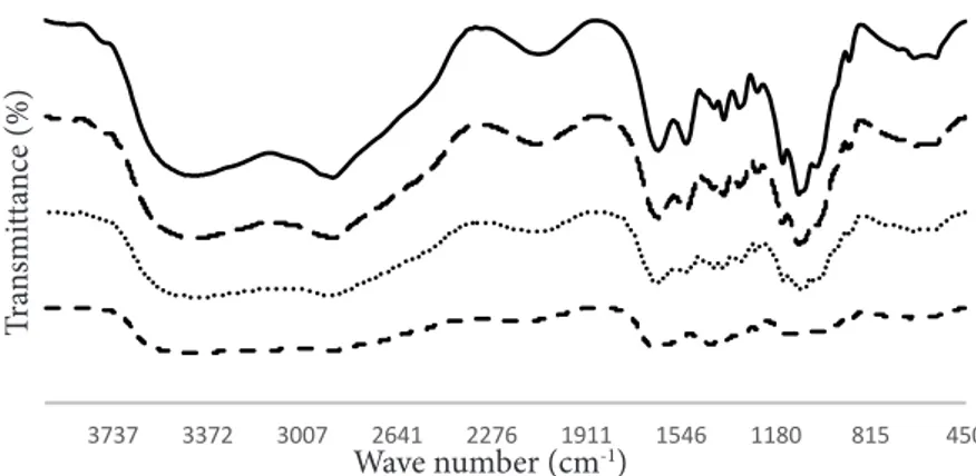 Figure 6 Chitosan and water soluble chitosan with ultraviolet light;   chitosan;   45 minute UV;  60 minute UV;   75 minute UV.