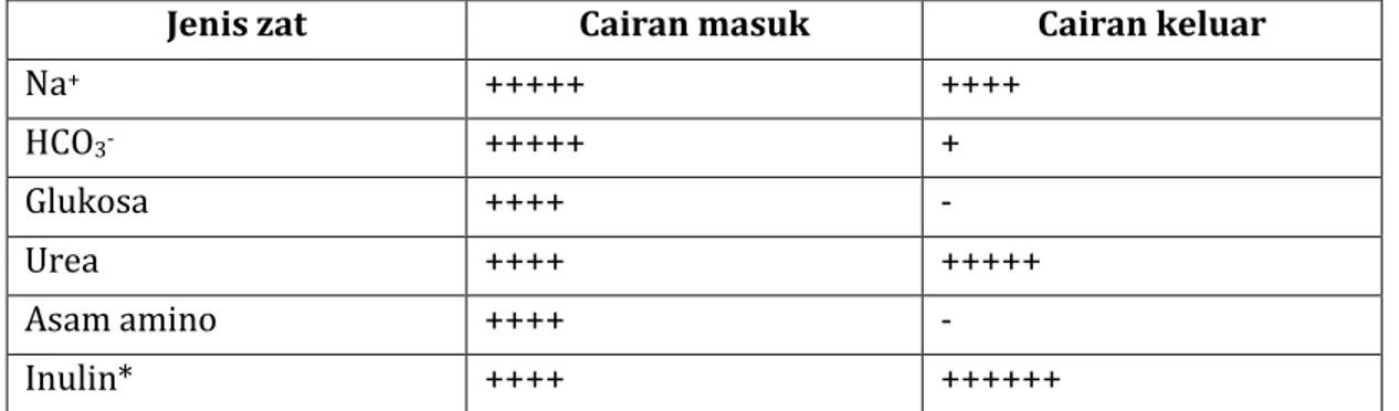Tabel berikut menunjukkan komposisi cairan yang masuk dan keluar tubulus.     