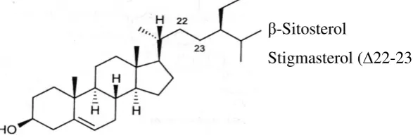 Gambar 2.14 β-sitosterol dan Stigmasterol 