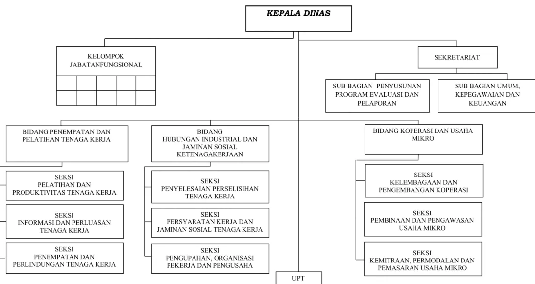 Gambar 2.1 Struktur Organisasi Dinas Tenaga Kerja Koperasi dan Usaha Mikro 