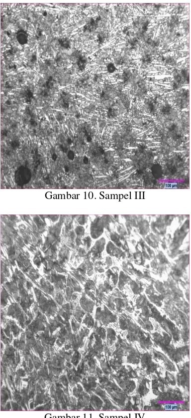 Gambar 10. Sampel III 