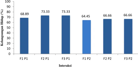 Gambar 1. Data Hasil Pengamatan Kelangsungan Hidup Pada Perlakuan Interaksi 