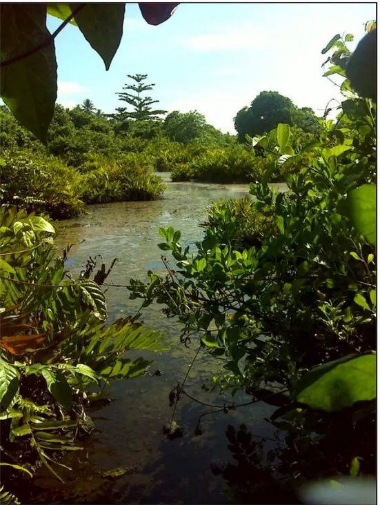 Gambar 2. Kolam air panas daerah Bongongoayu 