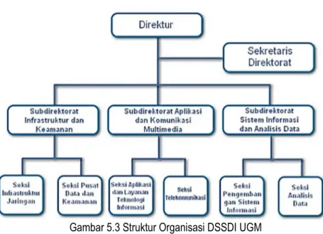 Gambar 5.3 Struktur Organisasi DSSDI UGM  Infrastruktur Teknologi Informasi 