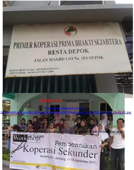 Gambar 1.13 Koperasi Primer