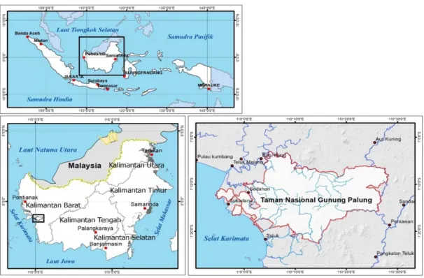 Gambar 1. Lokasi TN Gunung Palung, Kalimantan Barat. 