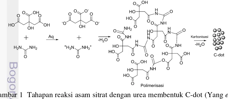 Gambar 1  Tahapan reaksi asam sitrat dengan urea membentuk C-dot (Yang et al. 