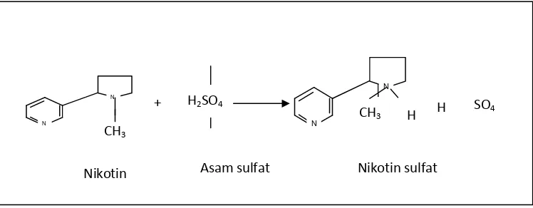 Gambar 2.4 Gugus molekul nikotin sulfat