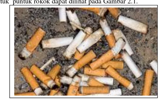 Gambar 2.1 Sampah Puntung Rokok