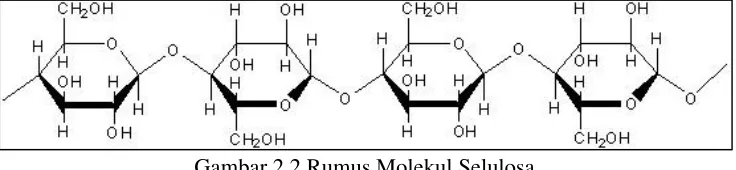 Gambar 2.2 Rumus Molekul Selulosa