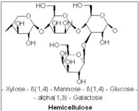 Gambar 2.4 Senyawa Hemiselulosa
