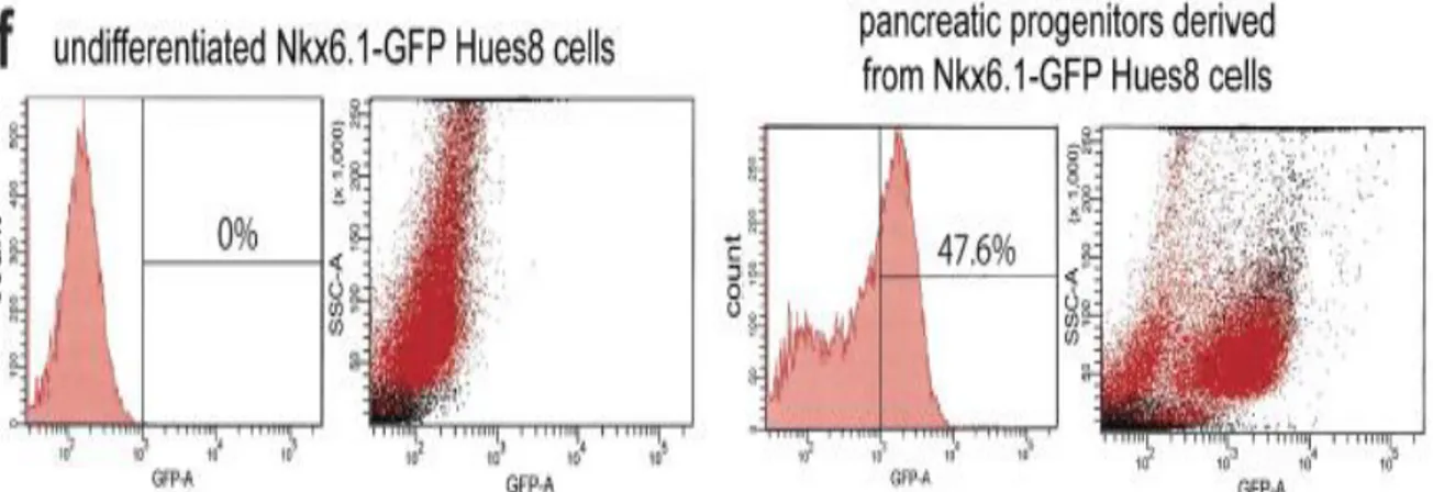 Tabel 1-siklus sel memicu target editing gen oleh 3 macam alat pengubah gen(Yang et al